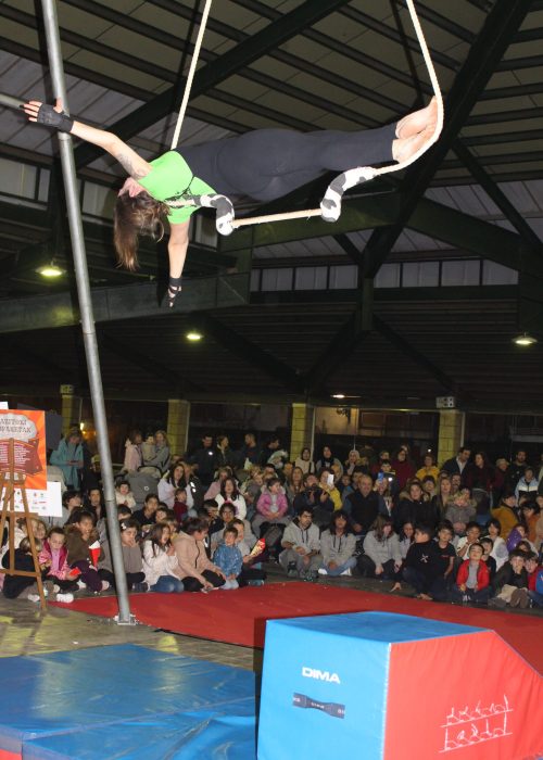 hazitoki-topaketak_54148213864_o