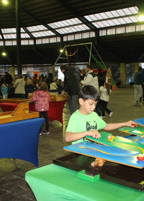 hazitoki-topaketak_54148352645_o